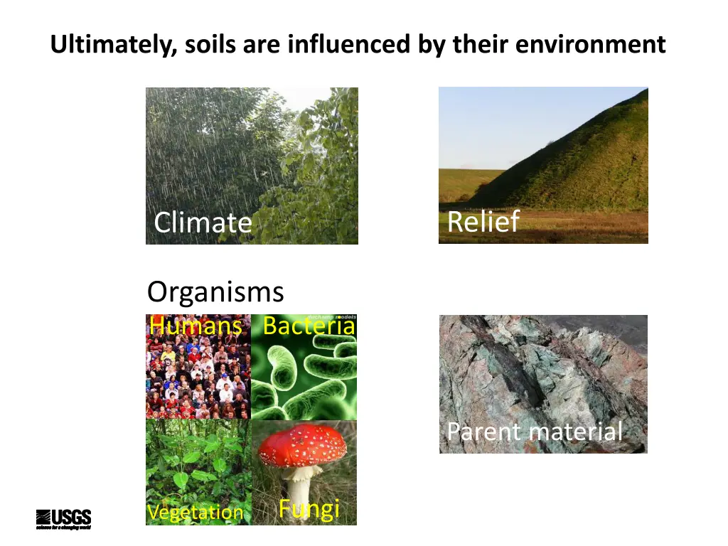 ultimately soils are influenced by their