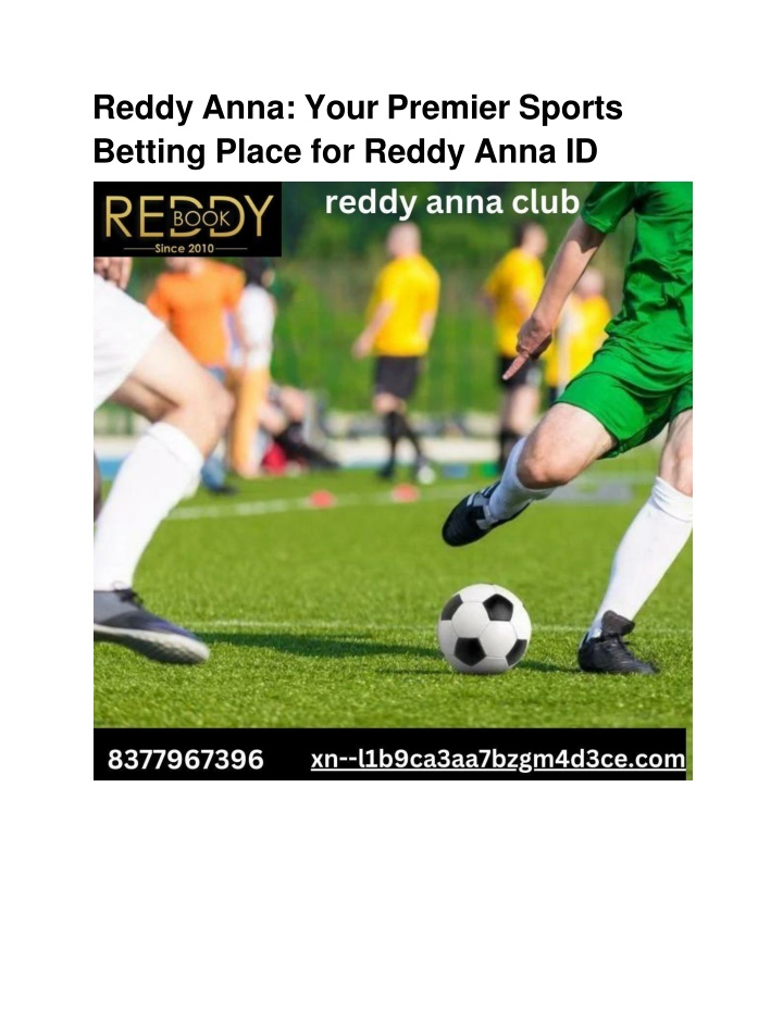 reddy anna your premier sports betting place