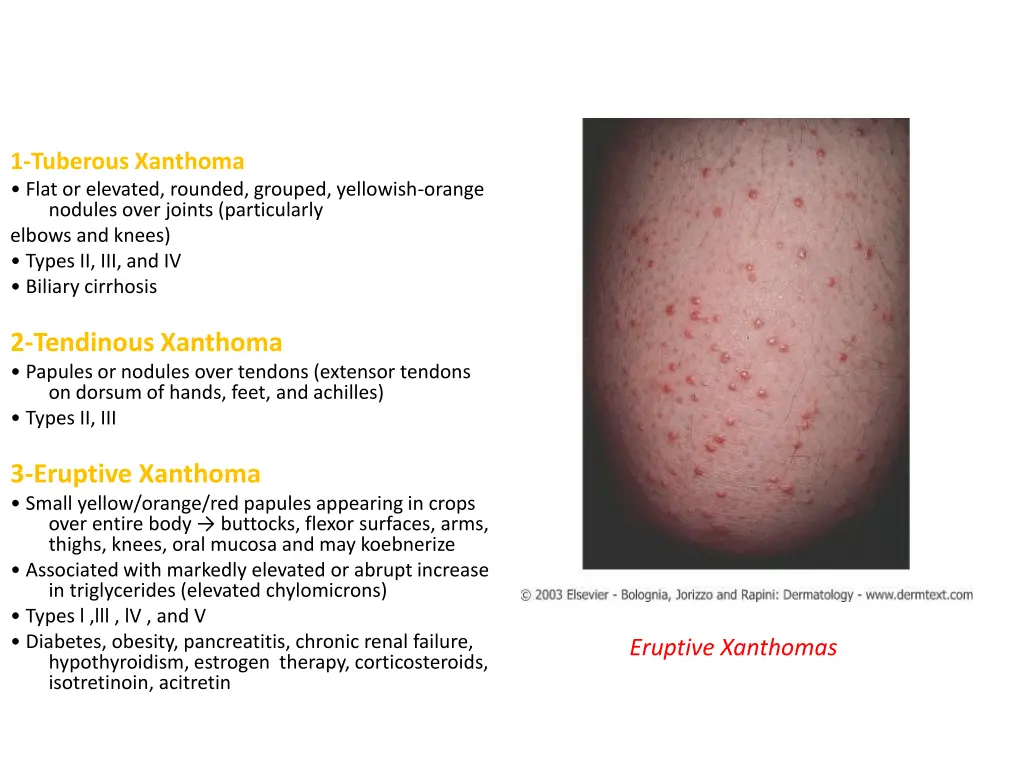 1 tuberous xanthoma flat or elevated rounded