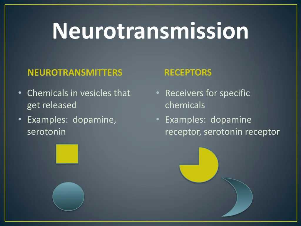 neurotransmission