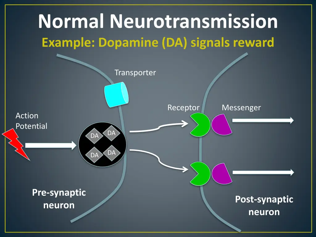 normal neurotransmission example dopamine