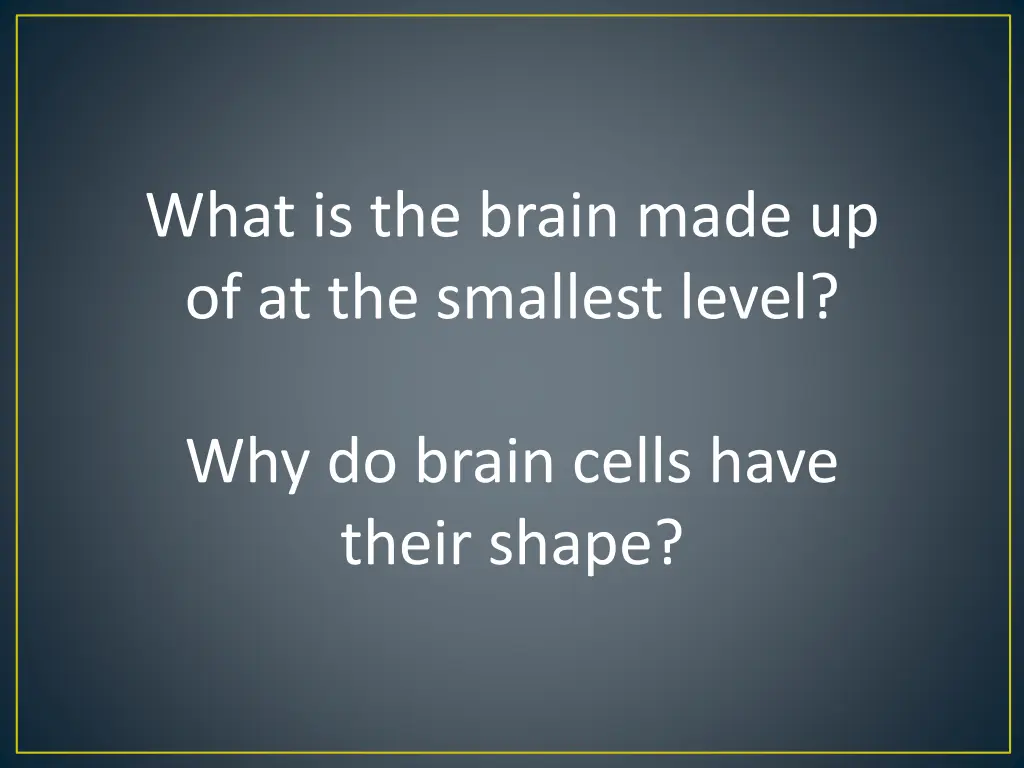 what is the brain made up of at the smallest level