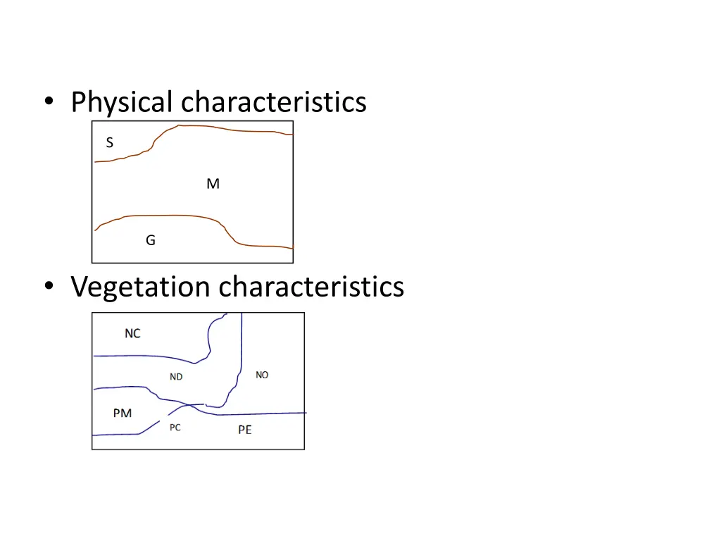 physical characteristics s