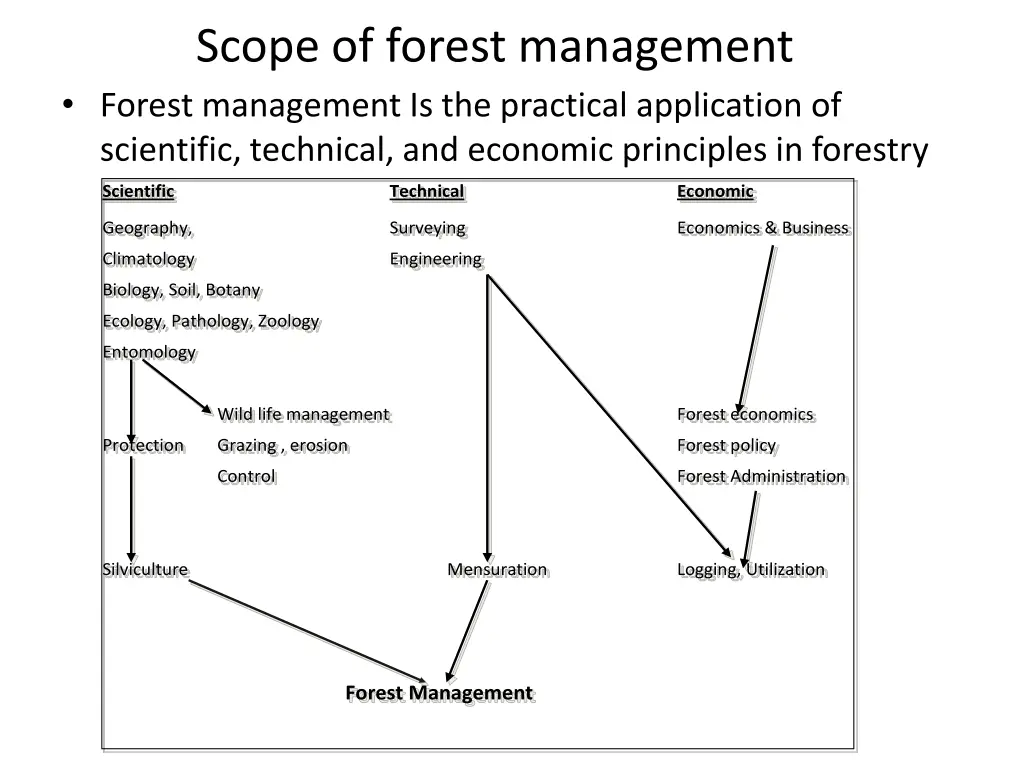 scope of forest management forest management