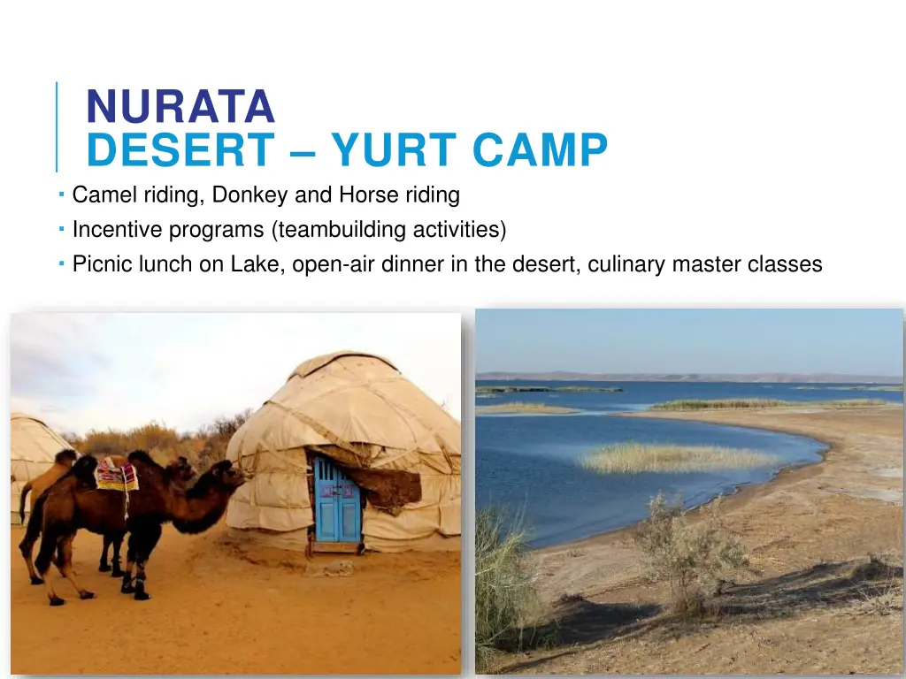 nurata desert yurt camp camel riding donkey