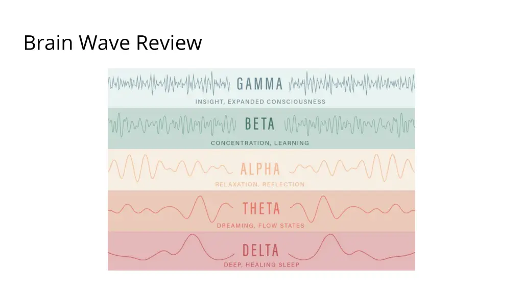brain wave review