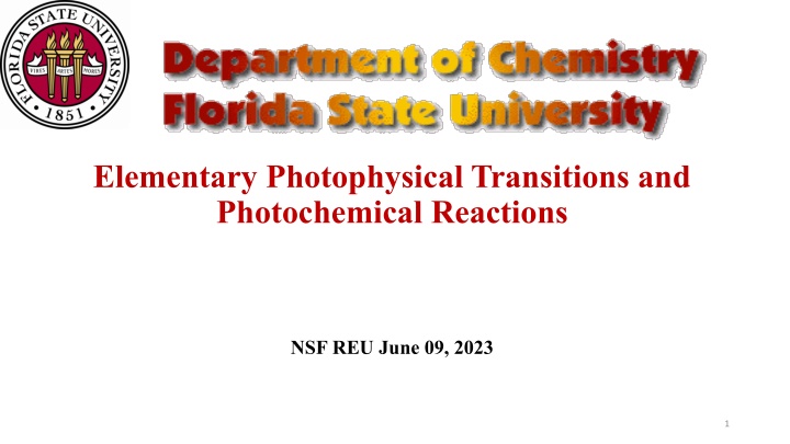 elementary photophysical transitions