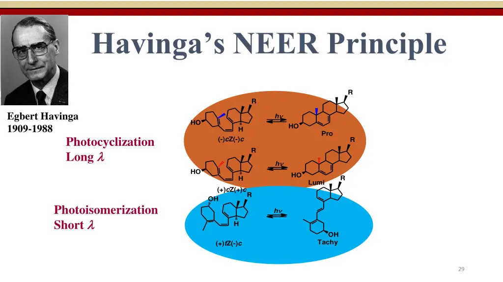 havinga s neer principle