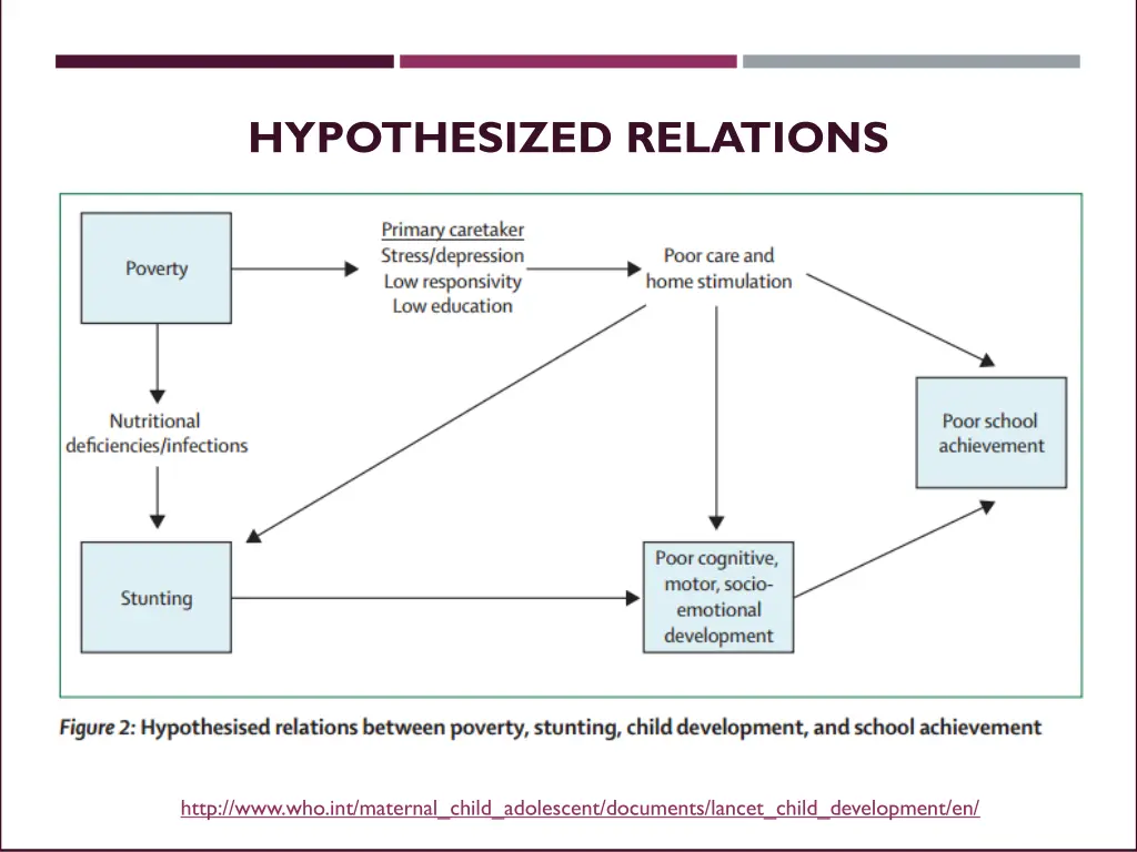 hypothesized relations