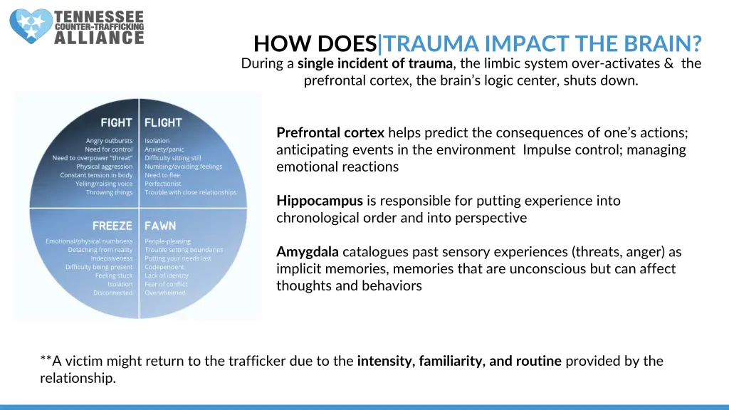 how does trauma impact the brain during a single