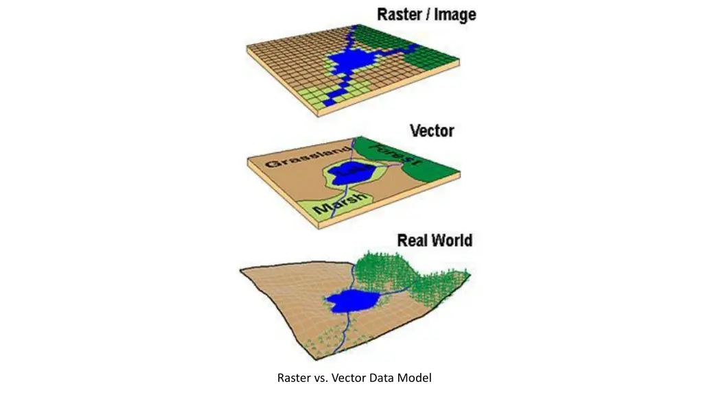 raster vs vector data model