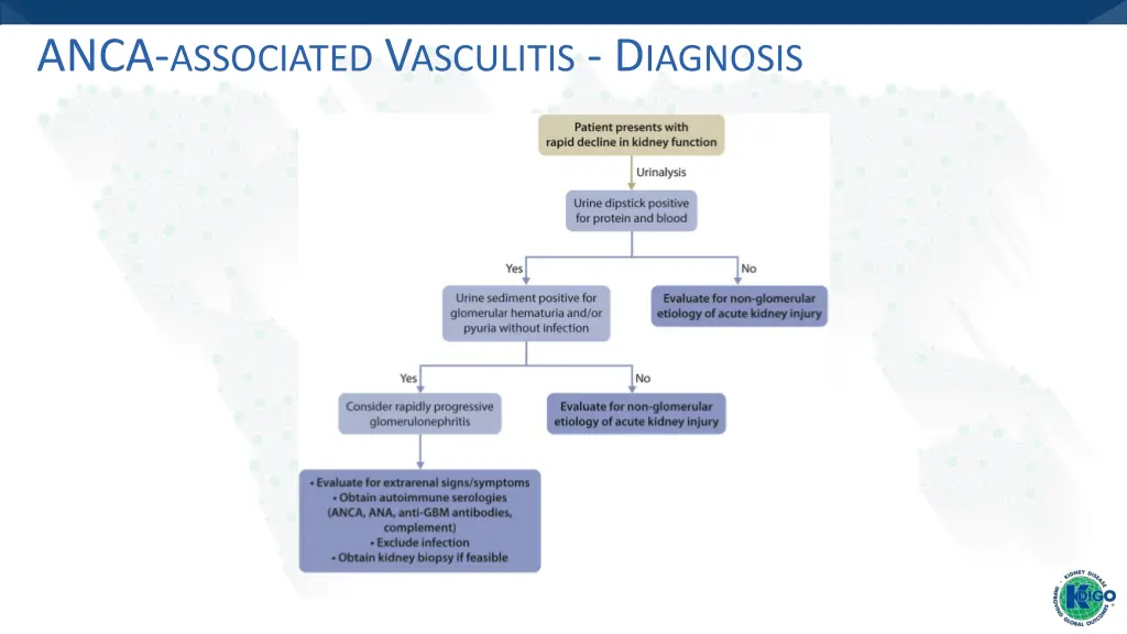 anca associated v asculitis d iagnosis 2