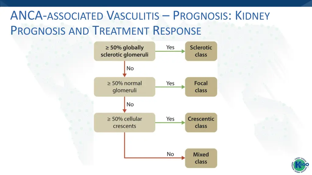 anca associated v asculitis p rognosis k idney