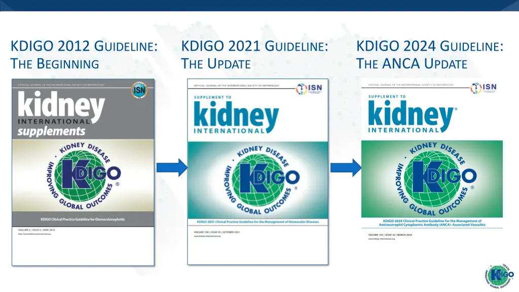 kdigo 2012 g uideline t he b eginning