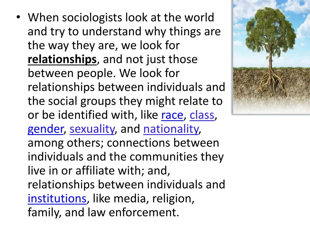 when sociologists look at the world