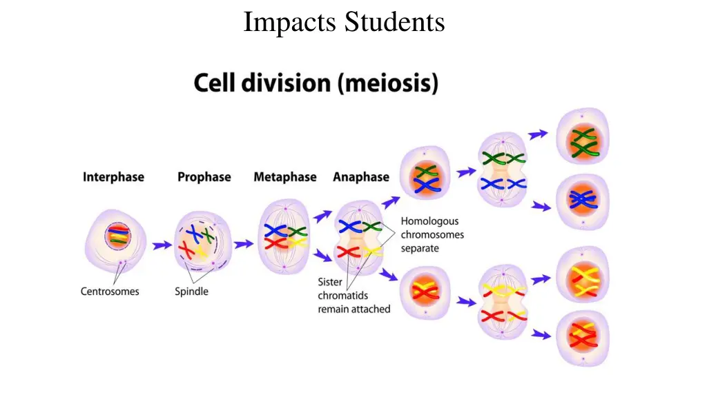 impacts students