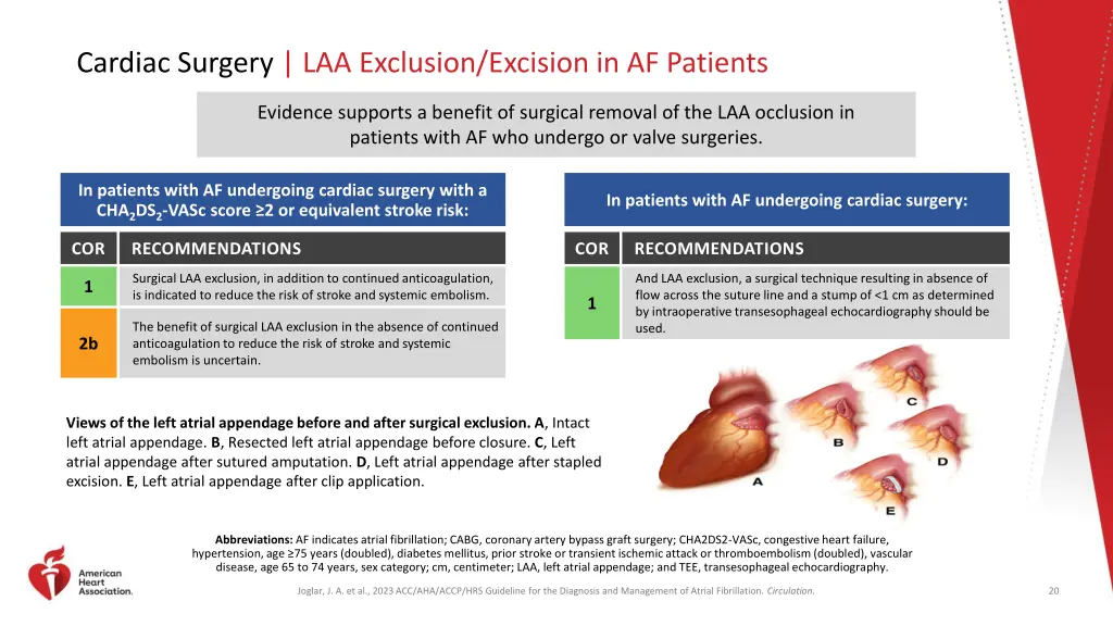 cardiac surgery laa exclusion excision