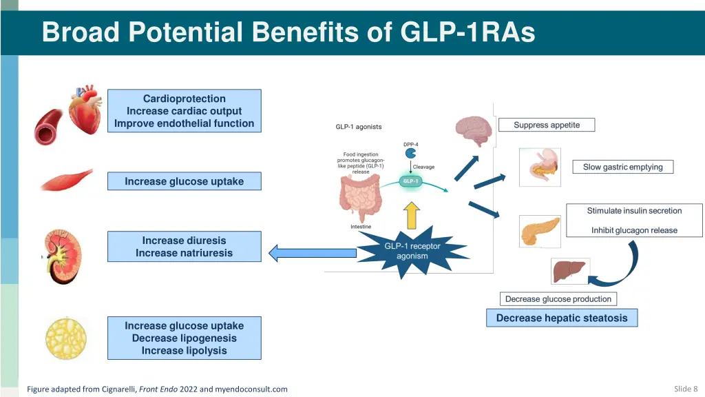 broad potential benefits of glp 1ras