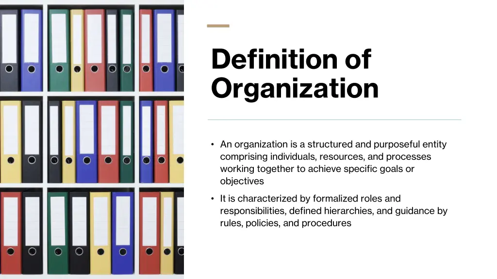 definition of organization