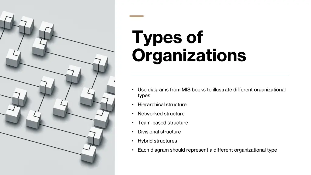 types of organizations