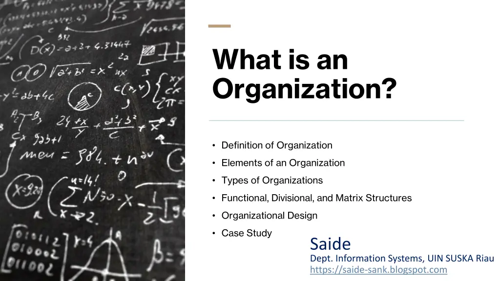 what is an organization