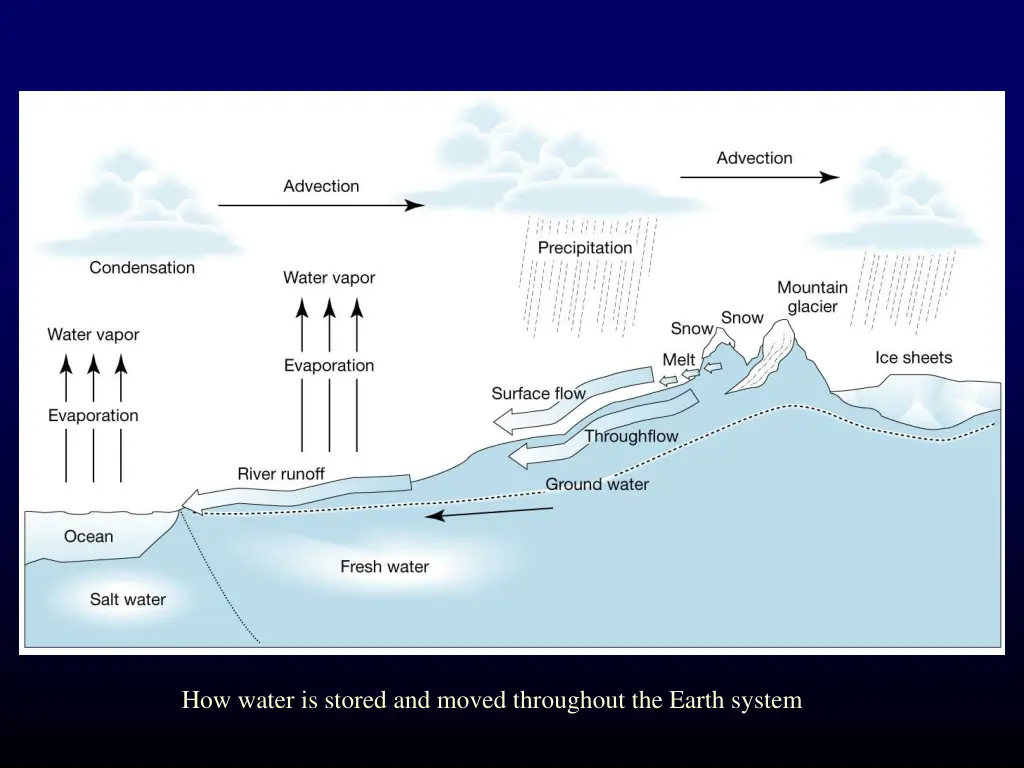 how water is stored and moved throughout