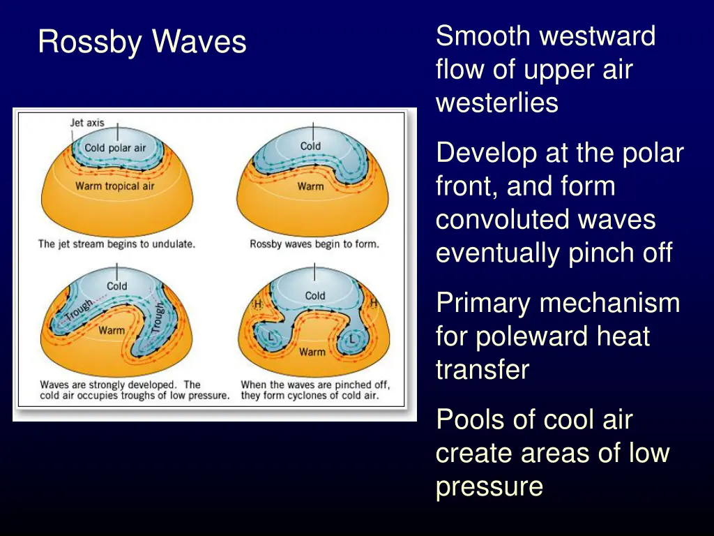 smooth westward flow of upper air westerlies