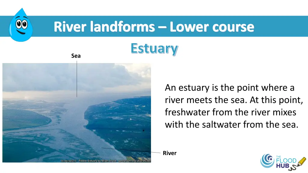 river landforms lower course estuary sea