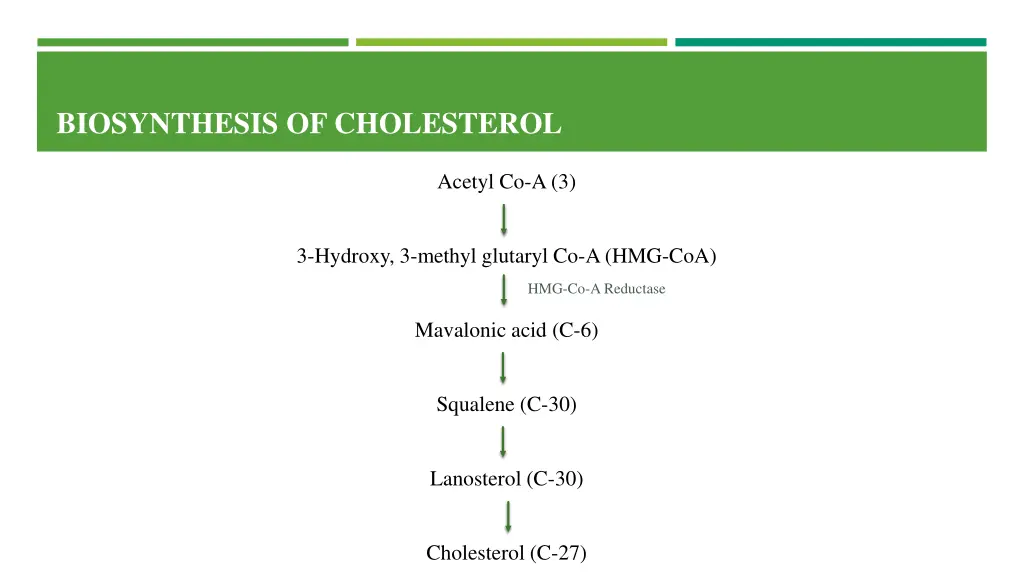 biosynthesis of cholesterol