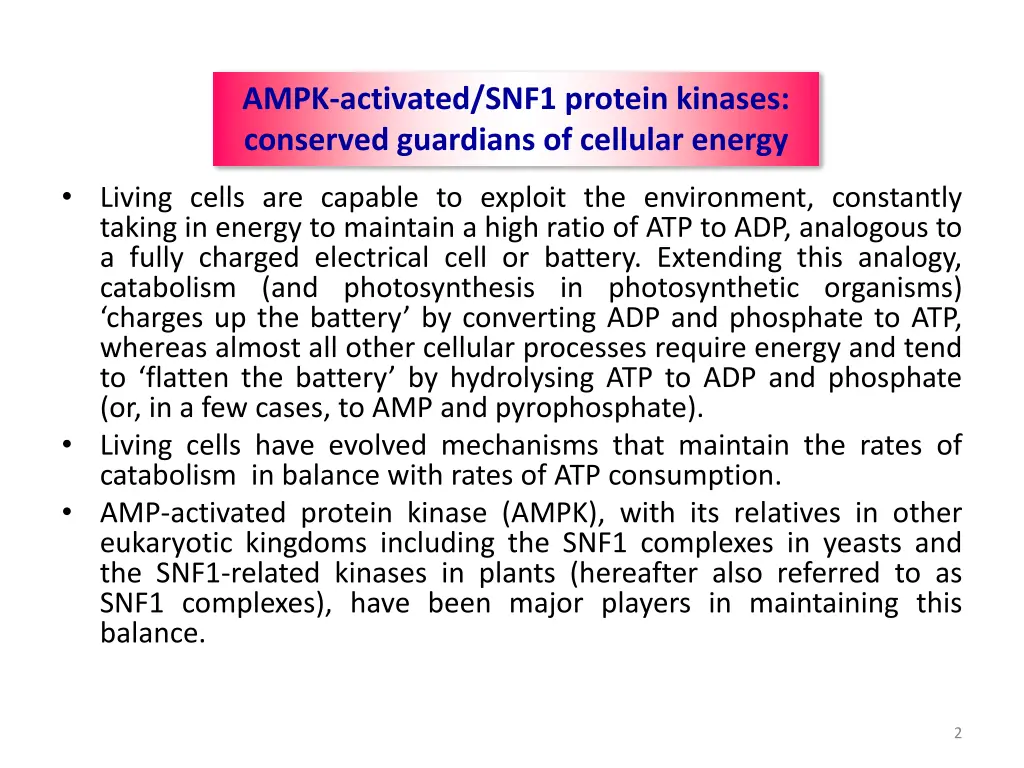 ampk activated snf1 protein kinases conserved