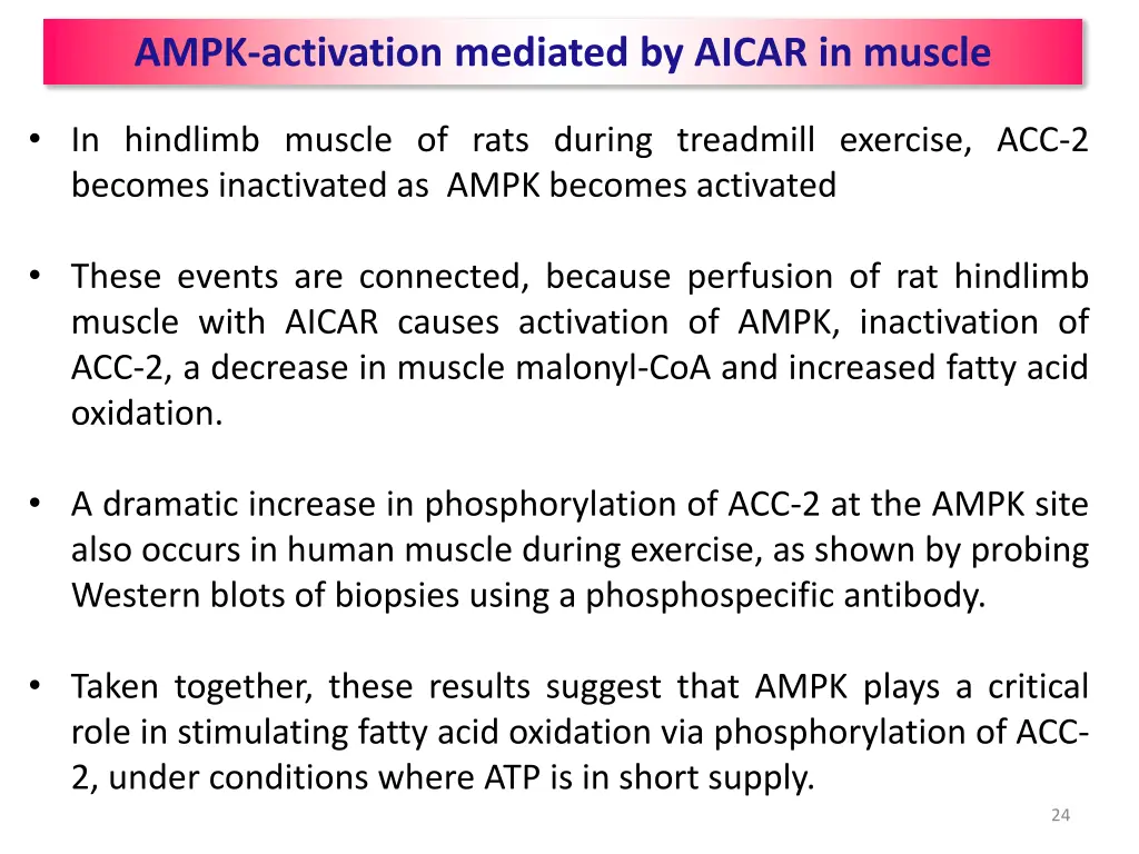 ampk activation mediated by aicar in muscle