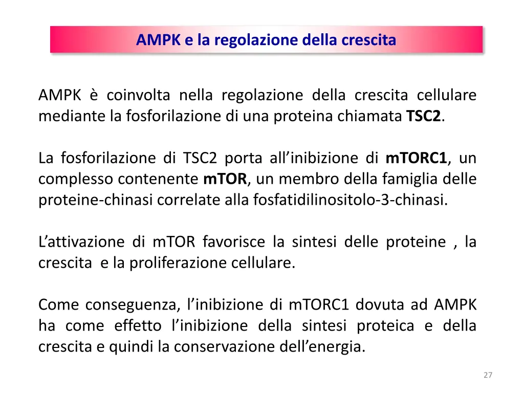 ampk e la regolazione della crescita