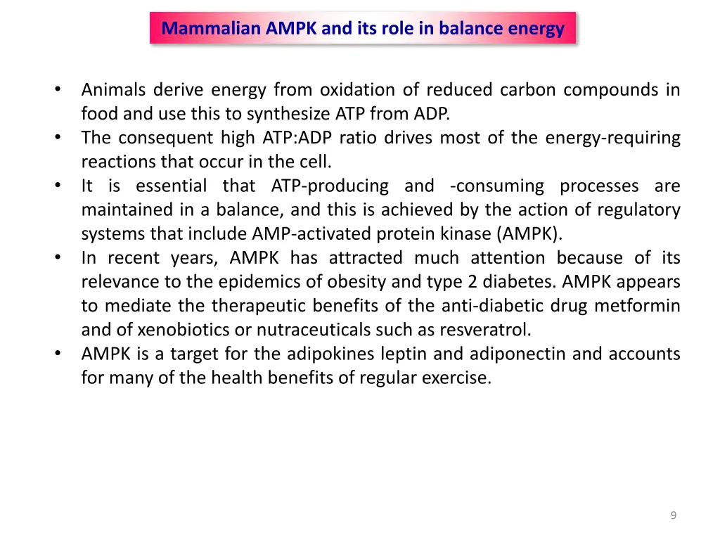 mammalian ampk and its role in balance energy