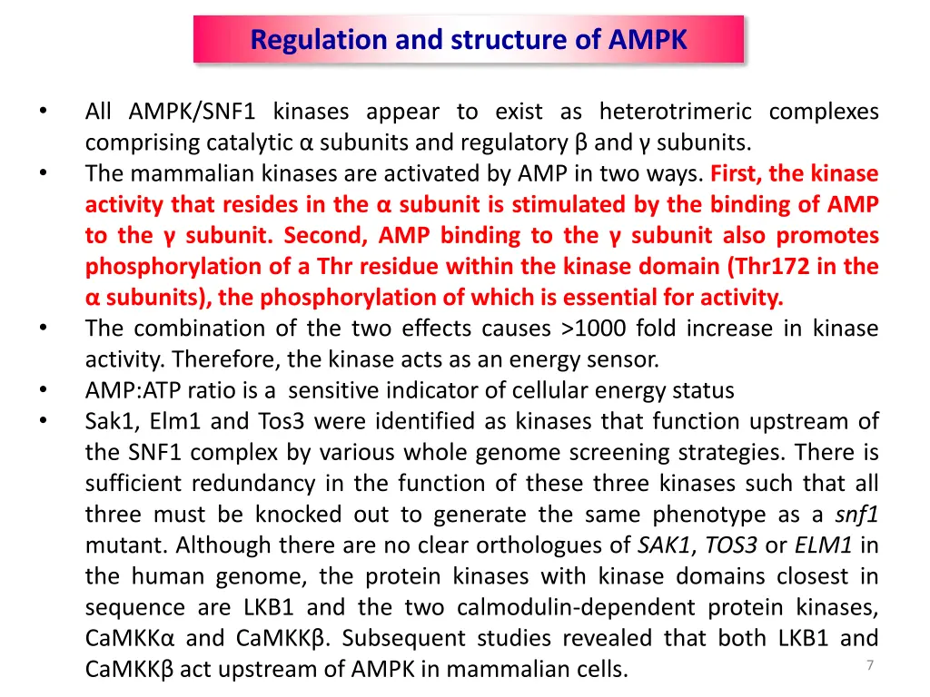 regulation and structure of ampk