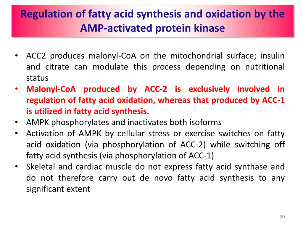 regulation of fatty acid synthesis and oxidation 1