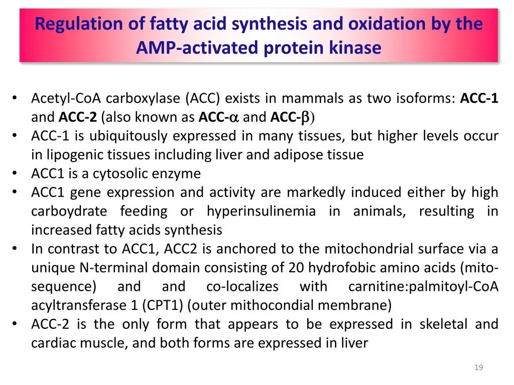 regulation of fatty acid synthesis and oxidation