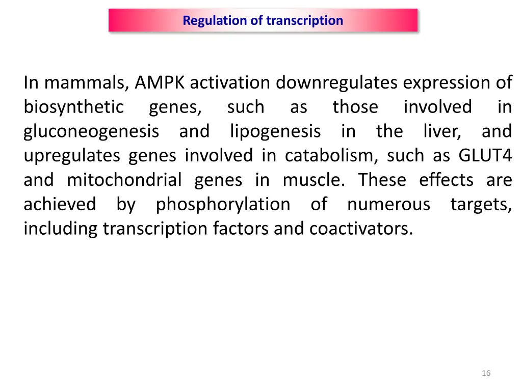 regulation of transcription