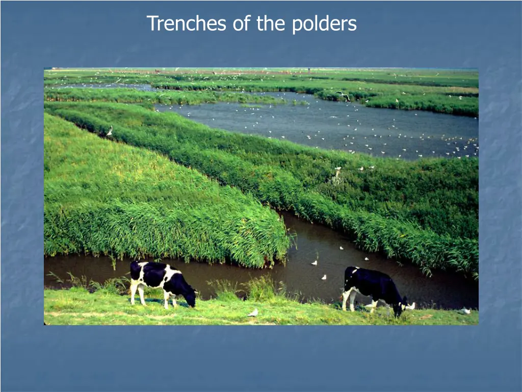 trenches of the polders