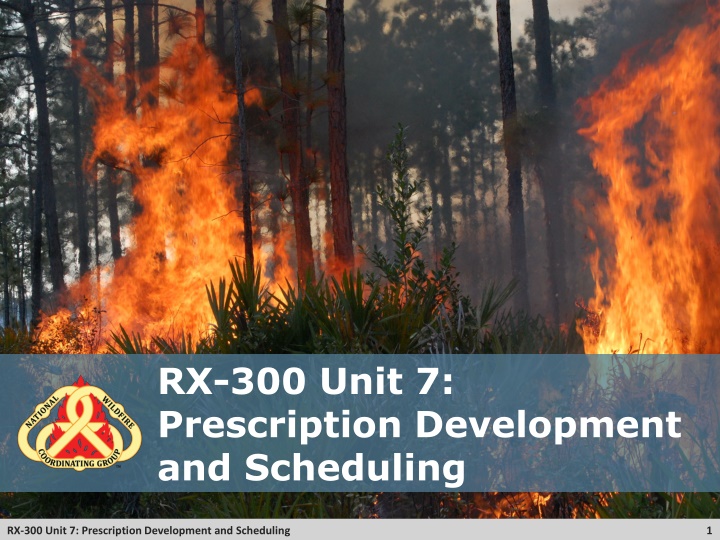 rx 300 unit 7 prescription development