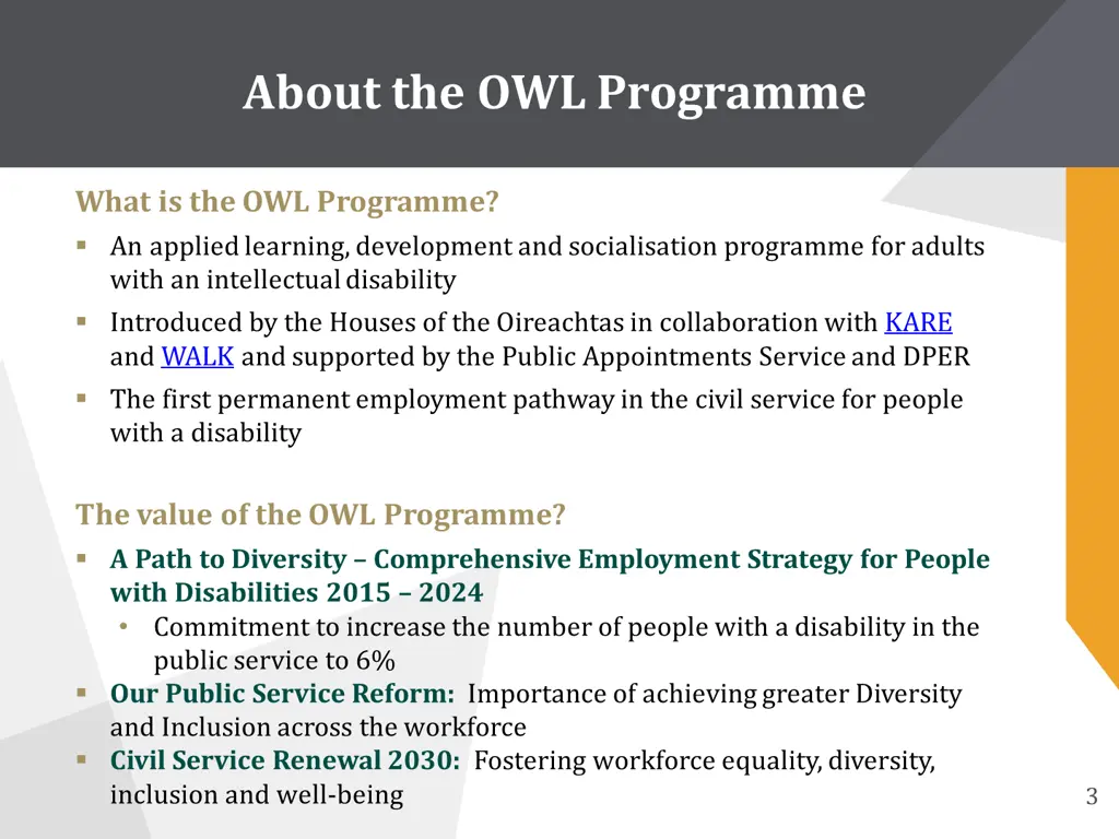 about the owl programme