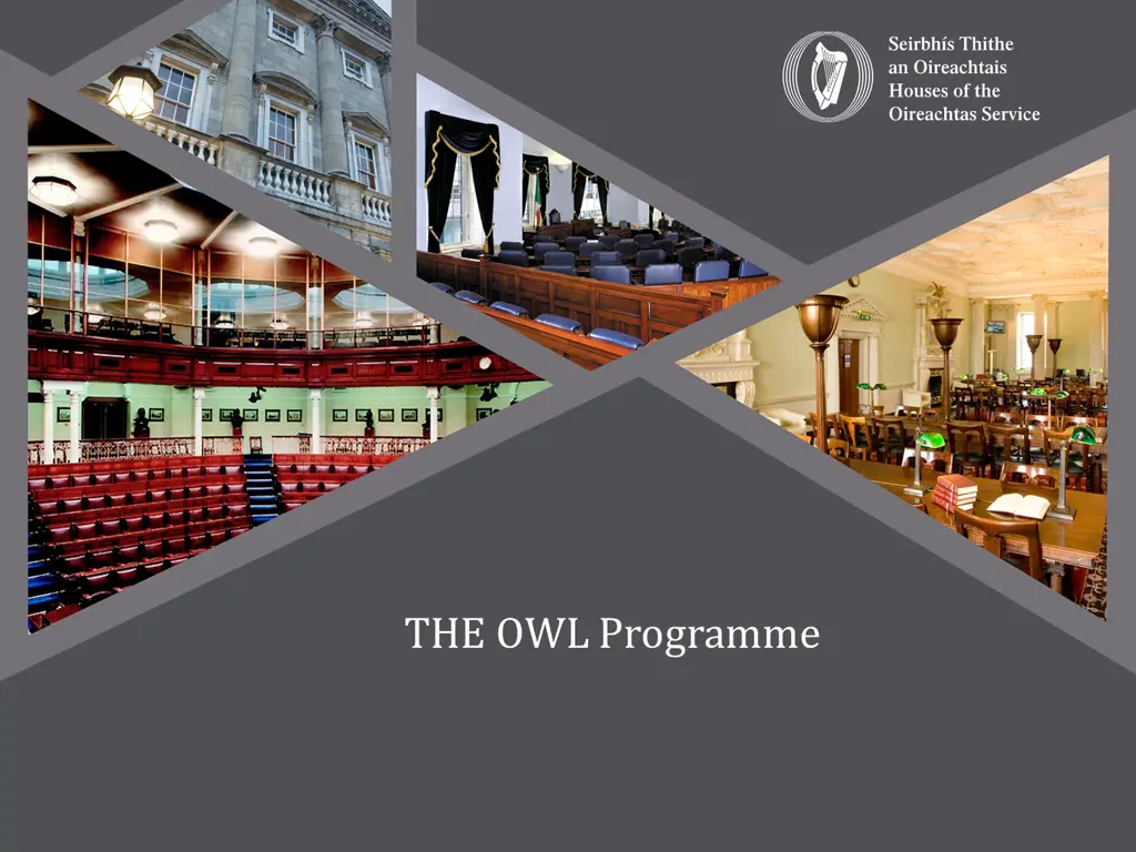 the owl programme