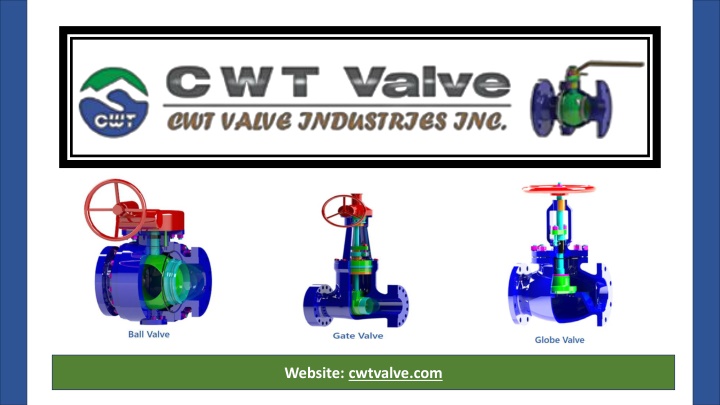 website cwtvalve com