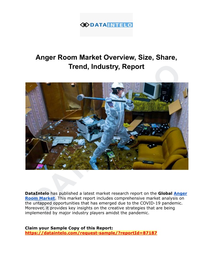 anger room market overview size share trend