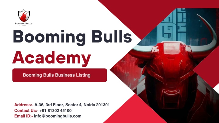 booming bulls academy