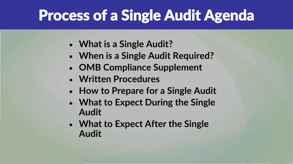 process of a single audit agenda process