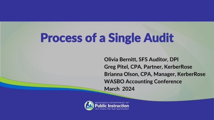 process of a single audit process of a single