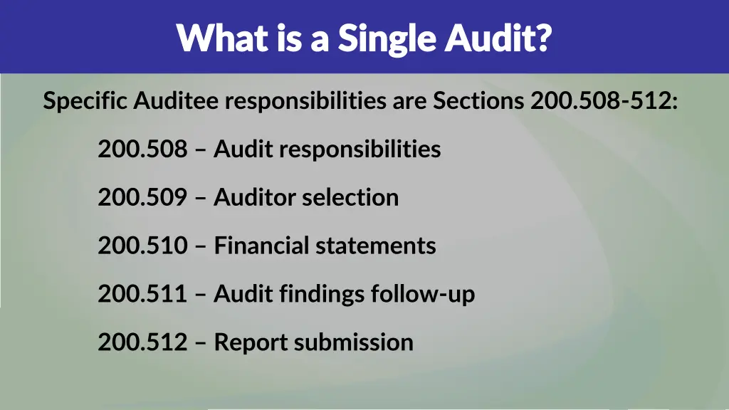 what is a single audit what is a single audit 1