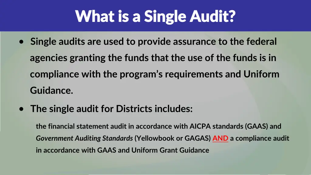 what is a single audit what is a single audit 2