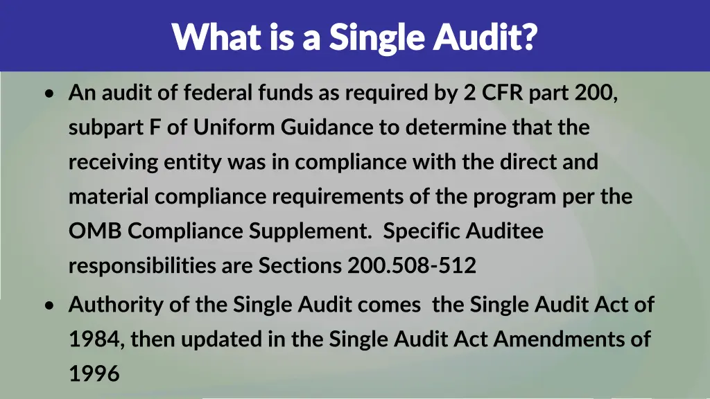 what is a single audit what is a single audit