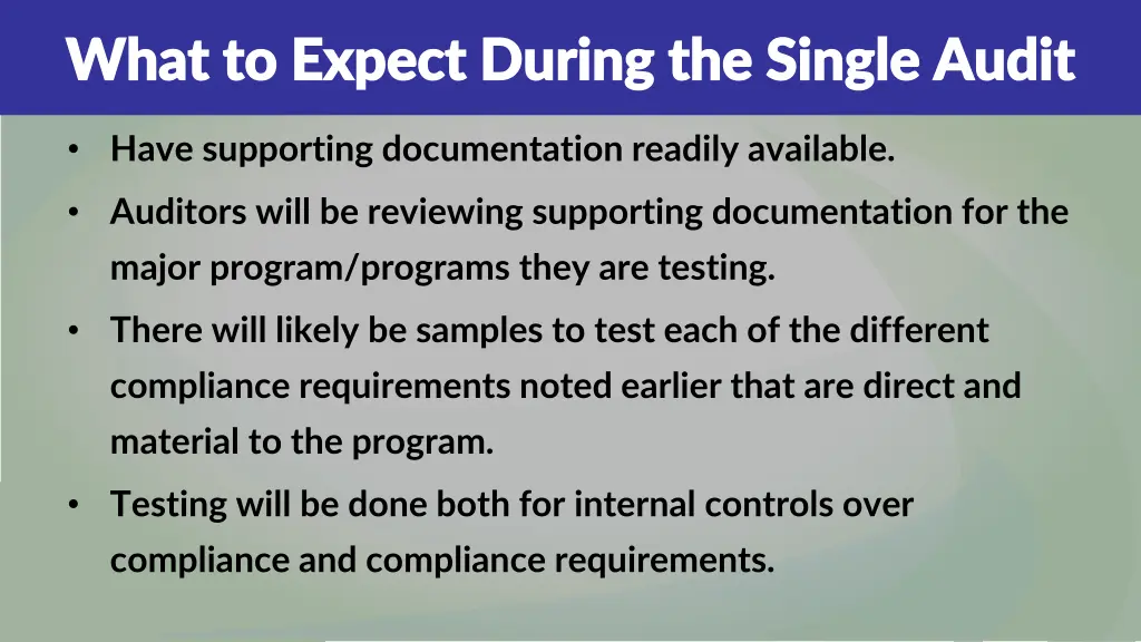 what to expect during the single audit what 1